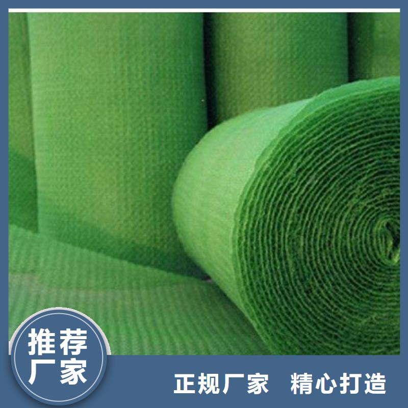 三維植被網PVC防水卷材源頭廠家