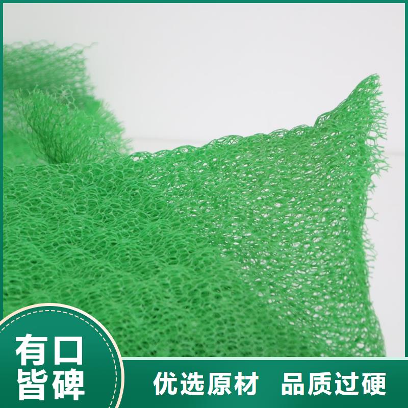三維植被網PVC防水卷材源頭廠家