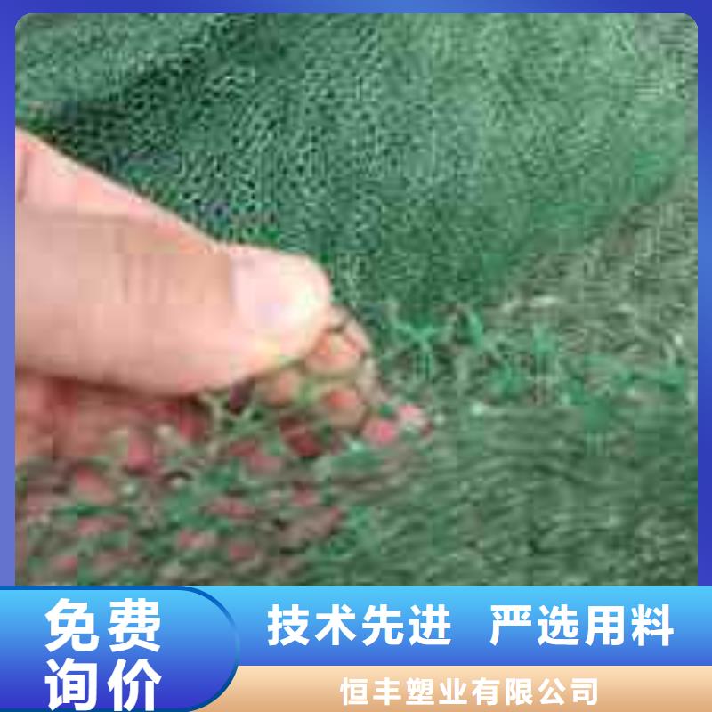 【三維植被網TPO防水卷材品類齊全】