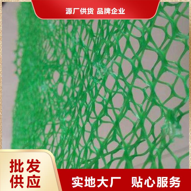 三維植被網(wǎng)PVC防水卷材源頭廠家