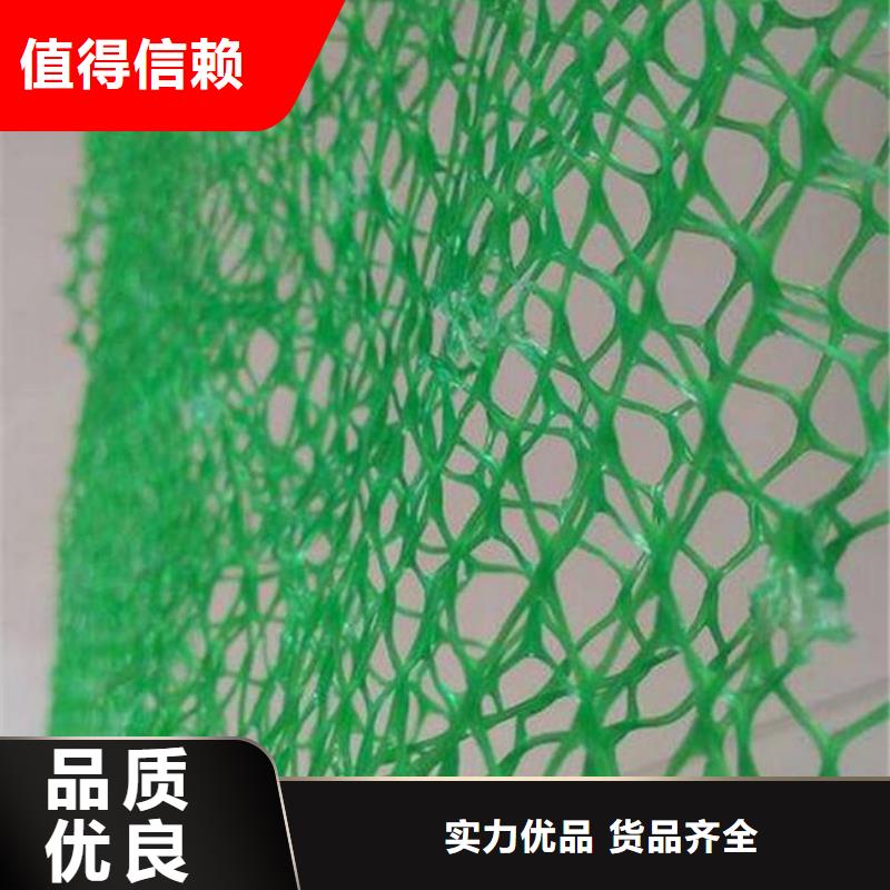 三維植被網PP焊接土工格柵值得信賴