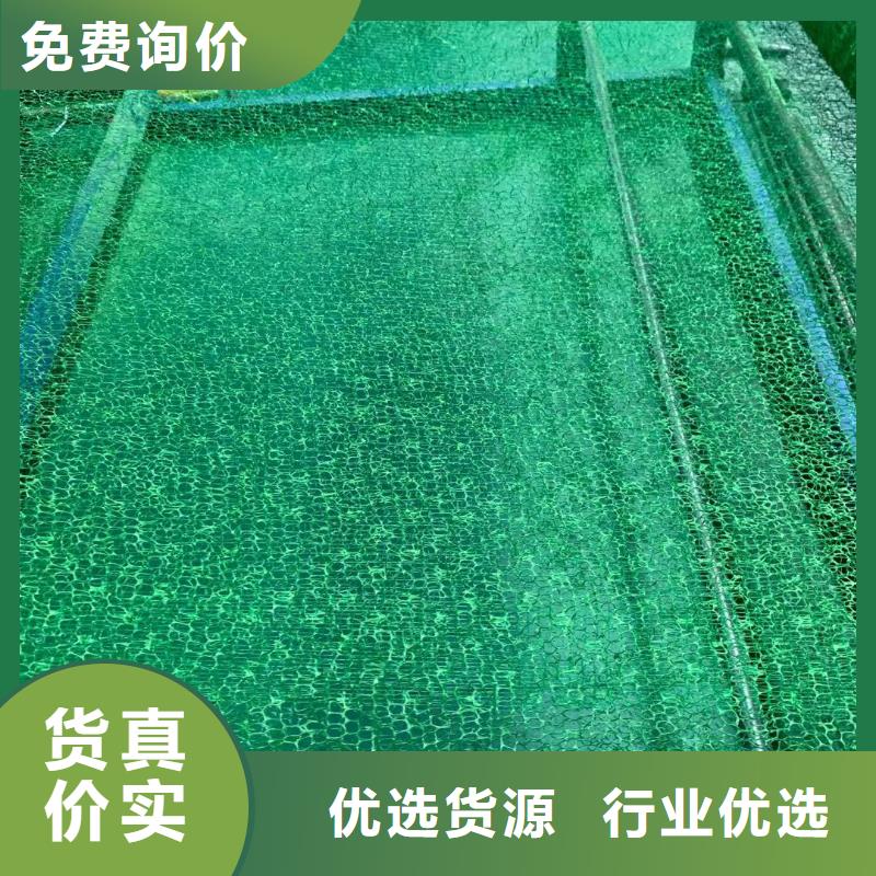 【三维植被网,土工格室源头厂家量大价优】