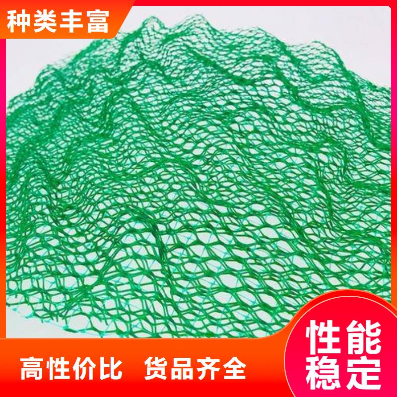三維植被網(wǎng)防滲土工膜客戶好評