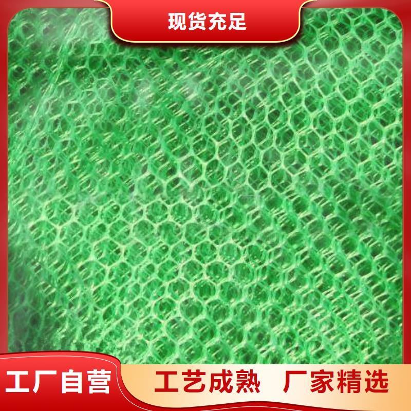 三維植被網(wǎng)PVC防水卷材源頭廠家