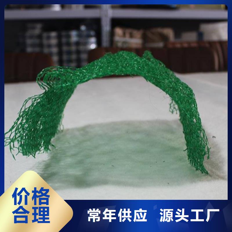 三維植被網(wǎng)塑料盲溝嚴格把關(guān)質(zhì)量放心