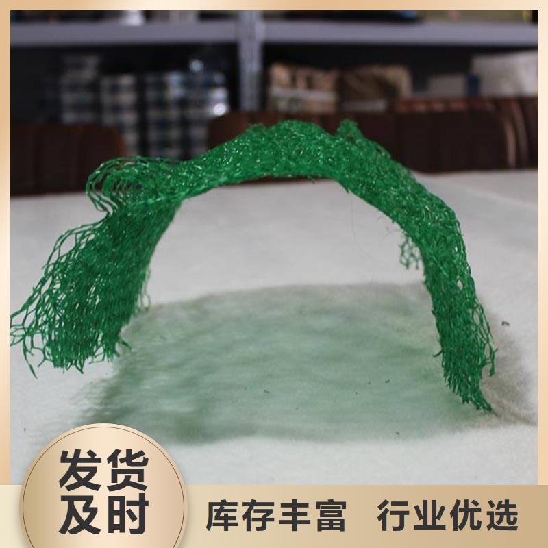 三維植被網PVC防水卷材實力工廠