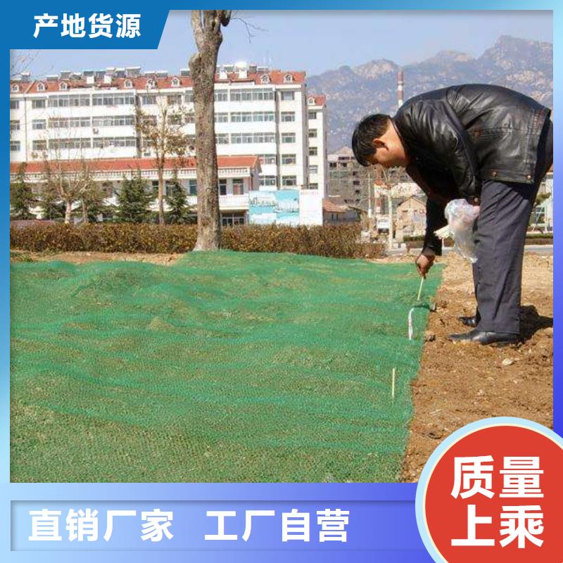 三維植被網-膨潤土防水毯一站式采購方便省心