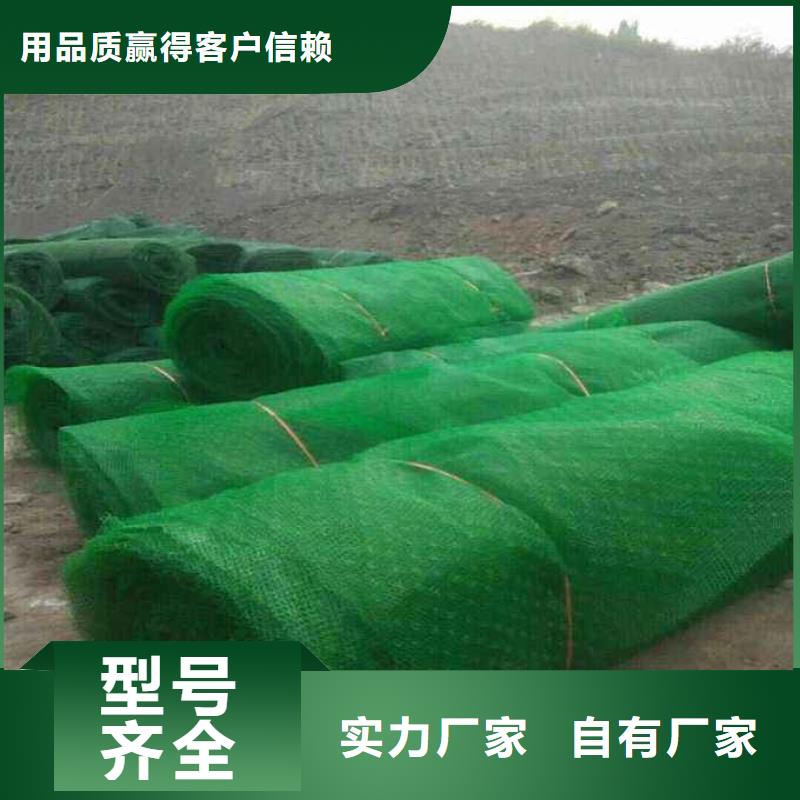 三維植被網PP焊接土工格柵值得信賴