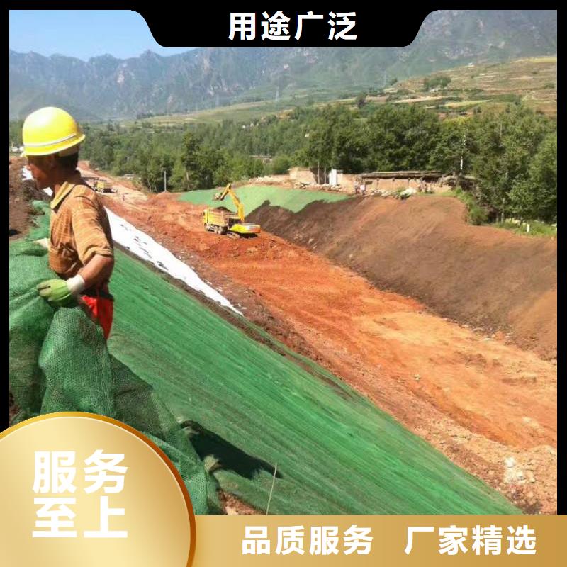 【三維植被網(wǎng)三維復(fù)合排水網(wǎng)專業(yè)品質(zhì)】