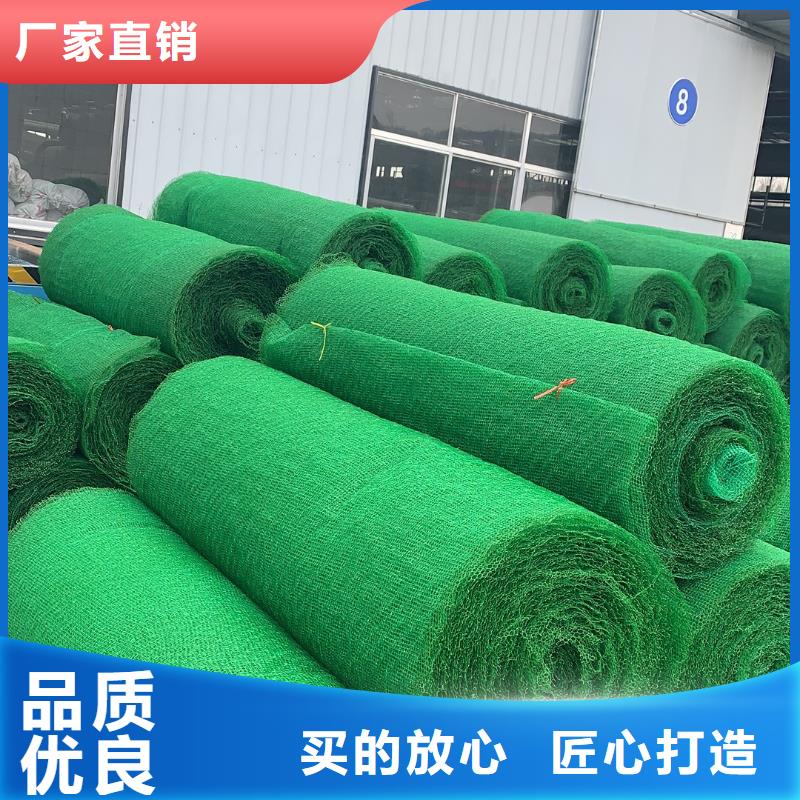 三維植被網PVC防水卷材源頭廠家