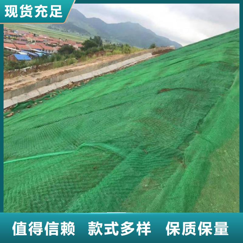 三維植被網PVC防水卷材實力工廠