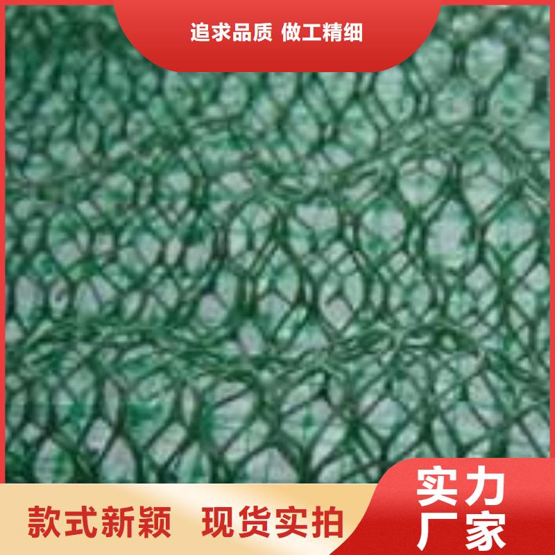 三維植被網PP焊接土工格柵值得信賴