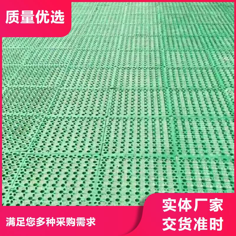 【三維植被網(wǎng)三維復(fù)合排水網(wǎng)專業(yè)品質(zhì)】
