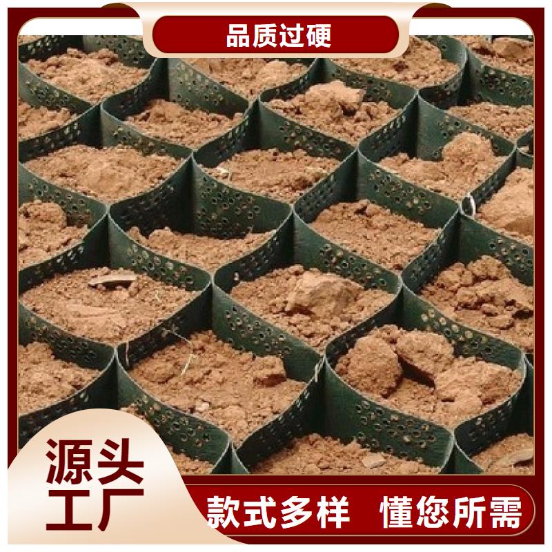 土工格室工程施工案例