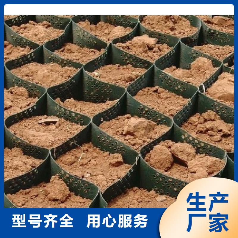 土工格室【三維土工網墊】一站式采購方便省心