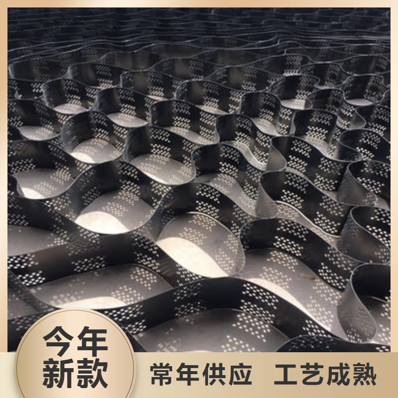 土工格室工程施工案例