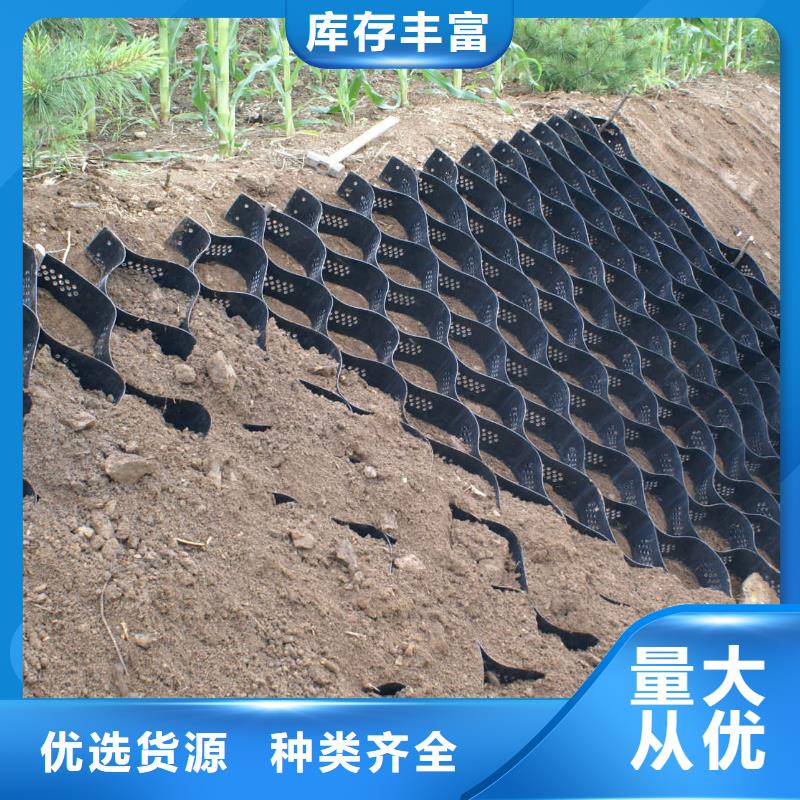 土工格室【三維土工網(wǎng)墊】一站式采購方便省心