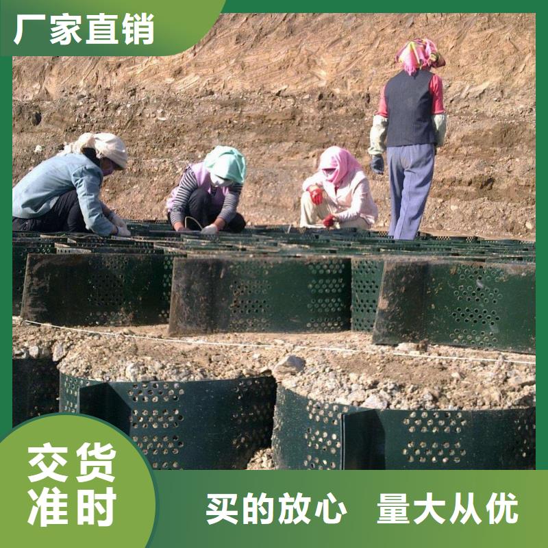 土工格室,玻纤土工格栅规格型号全