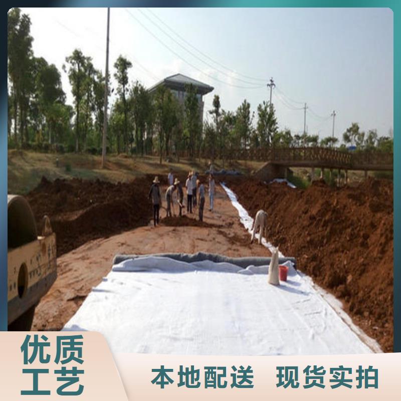 膨潤土防水毯城建土工膜廠家工藝先進