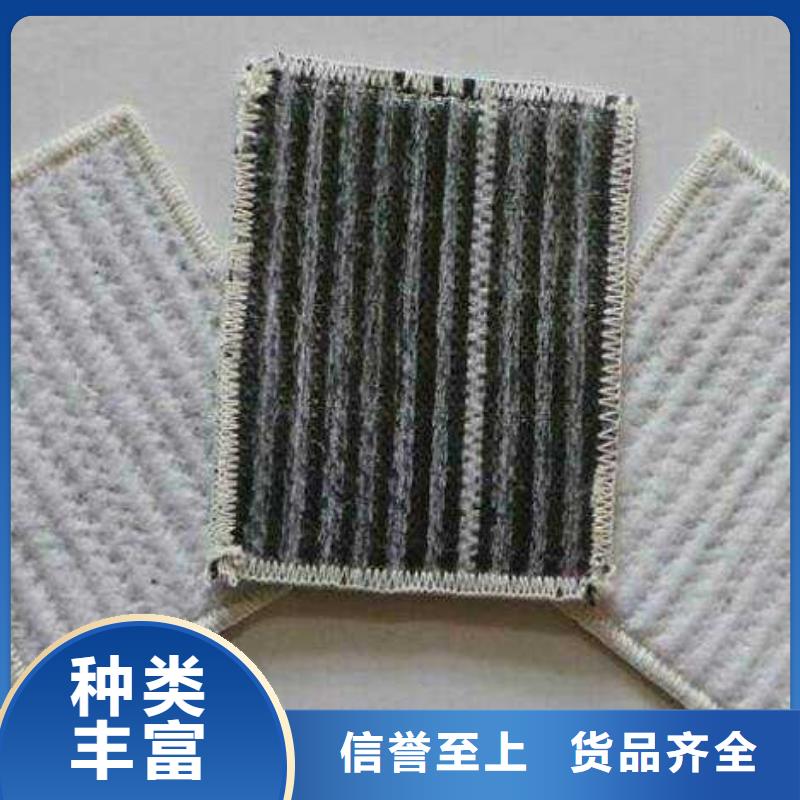 膨润土防水毯聚乙烯土工膜好品质售后无忧