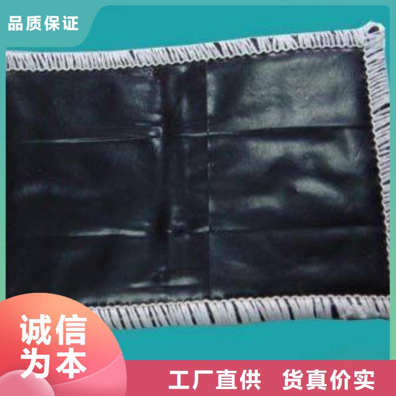 膨润土防水毯聚乙烯土工膜好品质售后无忧
