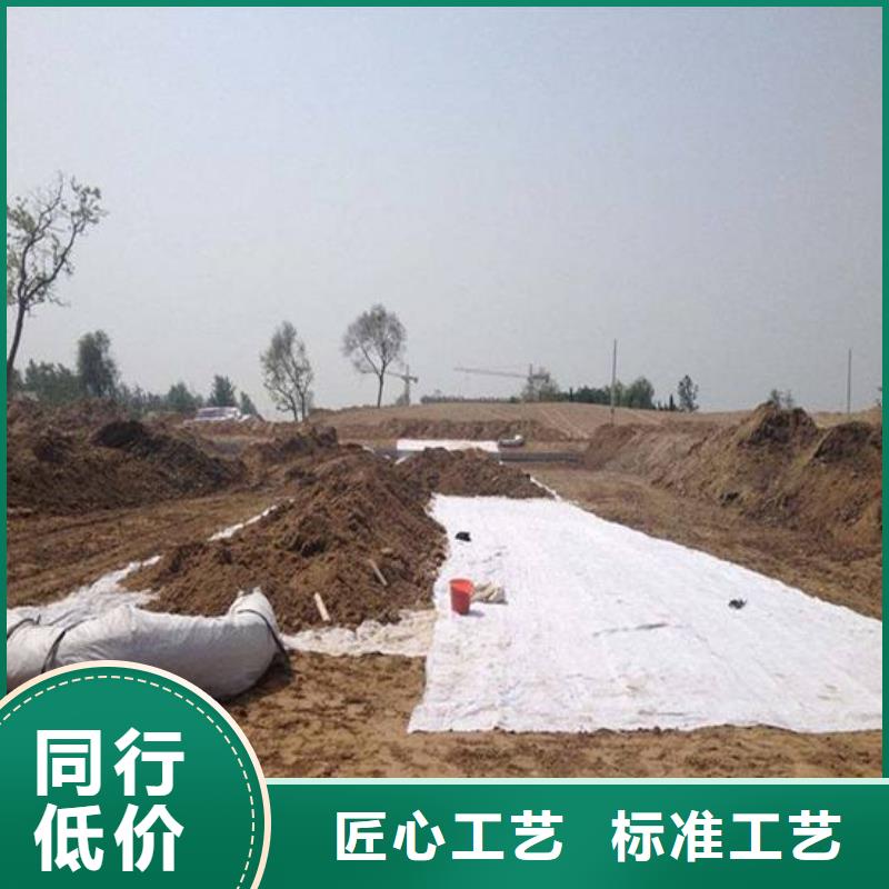 膨潤土防水毯,滌綸土工格柵滿足您多種采購需求