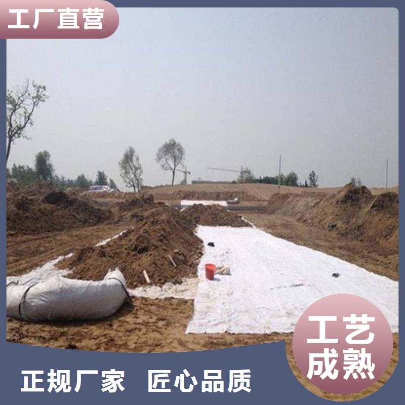 膨潤土防水毯,滌綸土工格柵滿足您多種采購需求