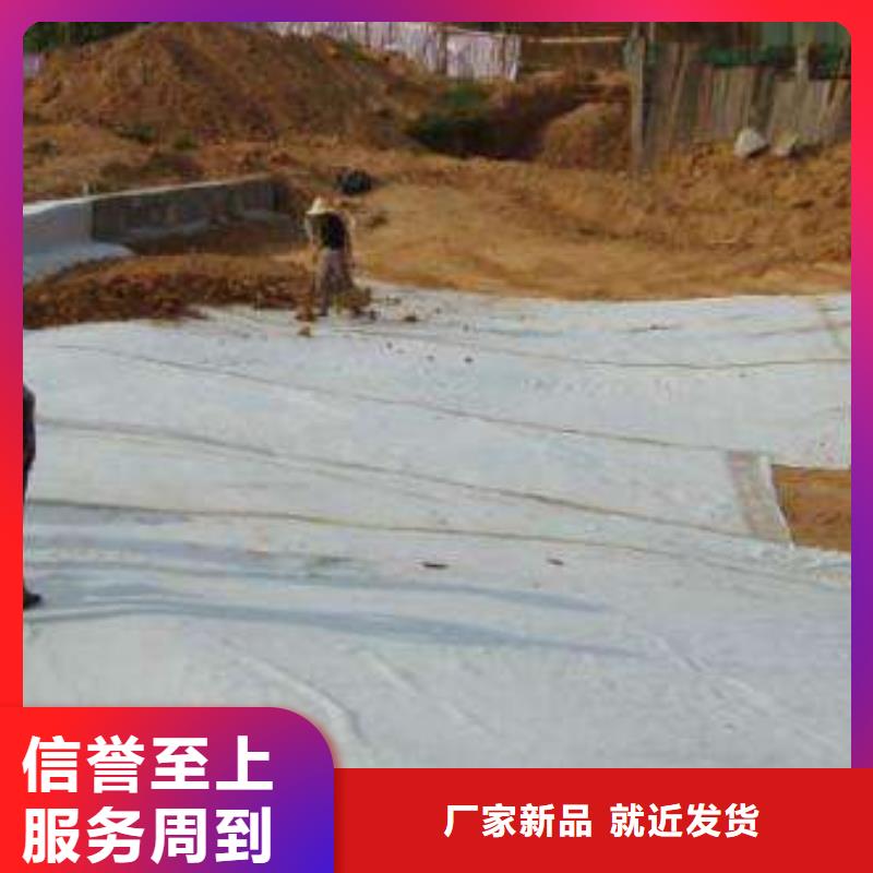 膨潤土防水毯土工濾網加工定制