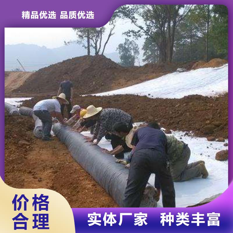 膨润土防水毯【无纺布】细节之处更加用心