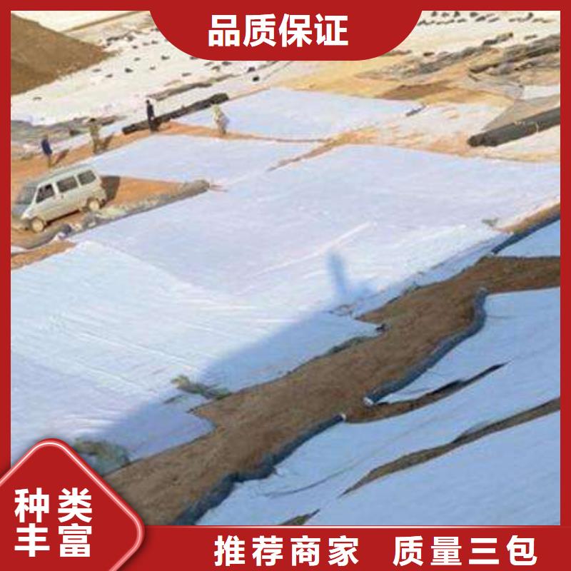 膨潤土防水毯土工濾網加工定制