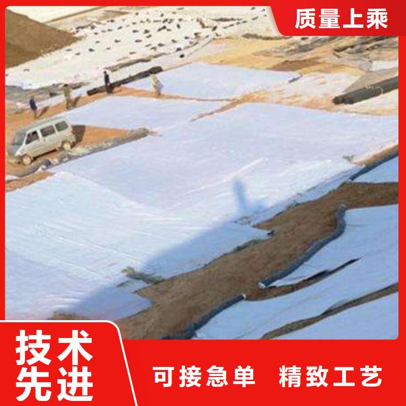 膨润土防水毯双向塑料土工格栅自产自销