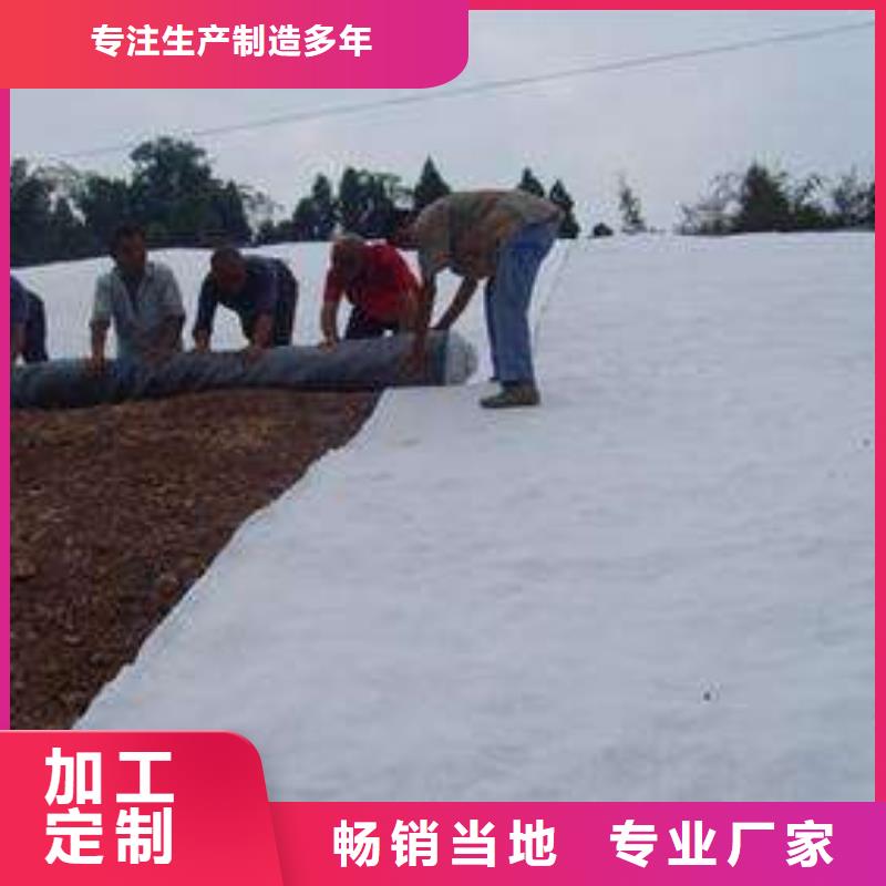 膨潤土防水毯城建土工膜廠家工藝先進