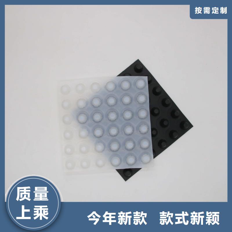 排水板三維植被網種類齊全