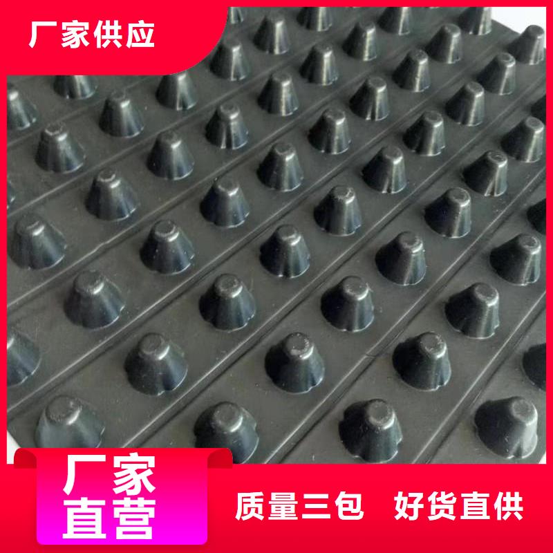 排水板雙向拉伸塑料格柵從廠家買售后有保障
