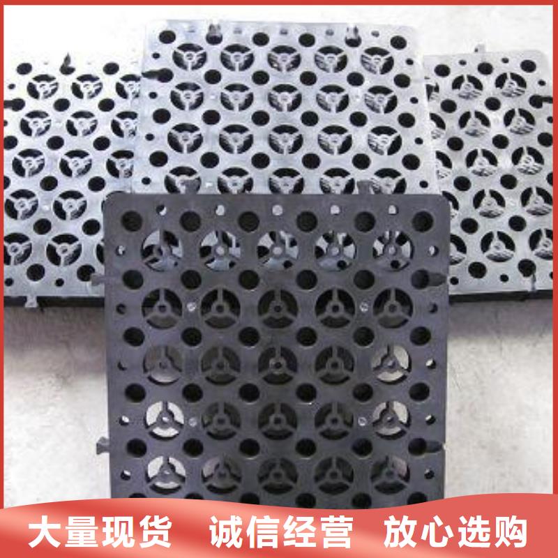 排水板,三維復(fù)合排水網(wǎng)價(jià)格實(shí)惠工廠直供