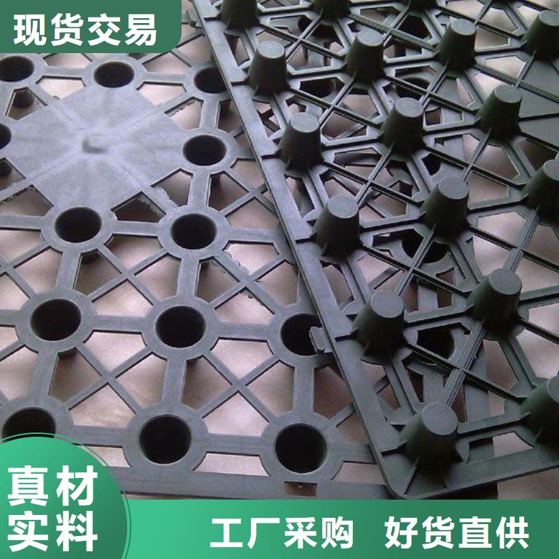 排水板毛細排水板品類齊全