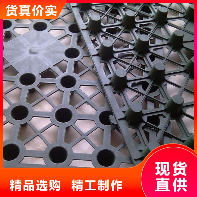排水板蜂巢格室一致好評產品