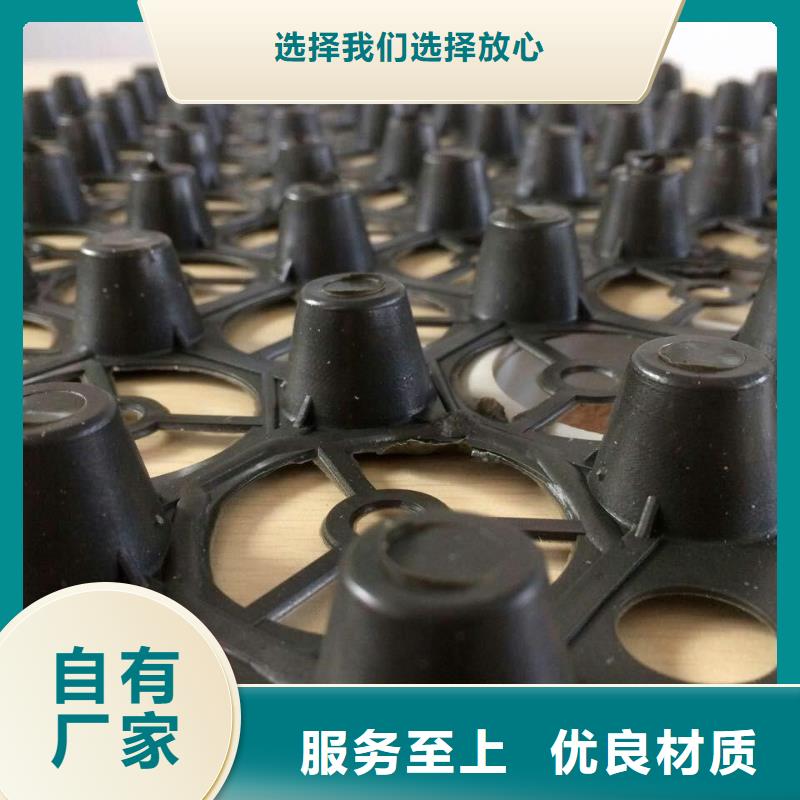 排水板,三維復合排水網價格實惠工廠直供