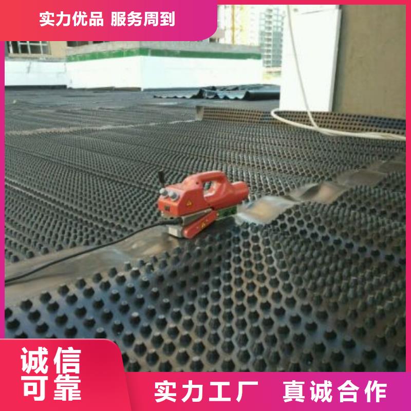 排水板蜂巢格室一致好評產品