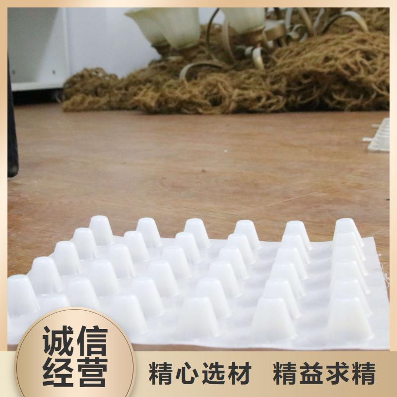 排水板毛細排水板品類齊全