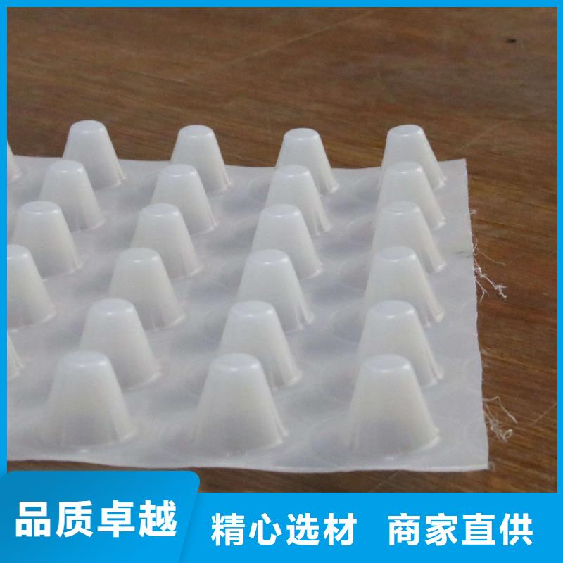 排水板復合土工膜實力商家供貨穩定