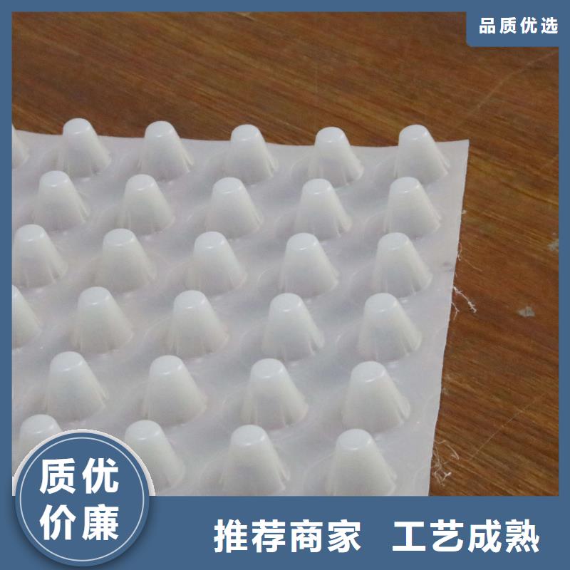 排水板,三維復(fù)合排水網(wǎng)價(jià)格實(shí)惠工廠直供