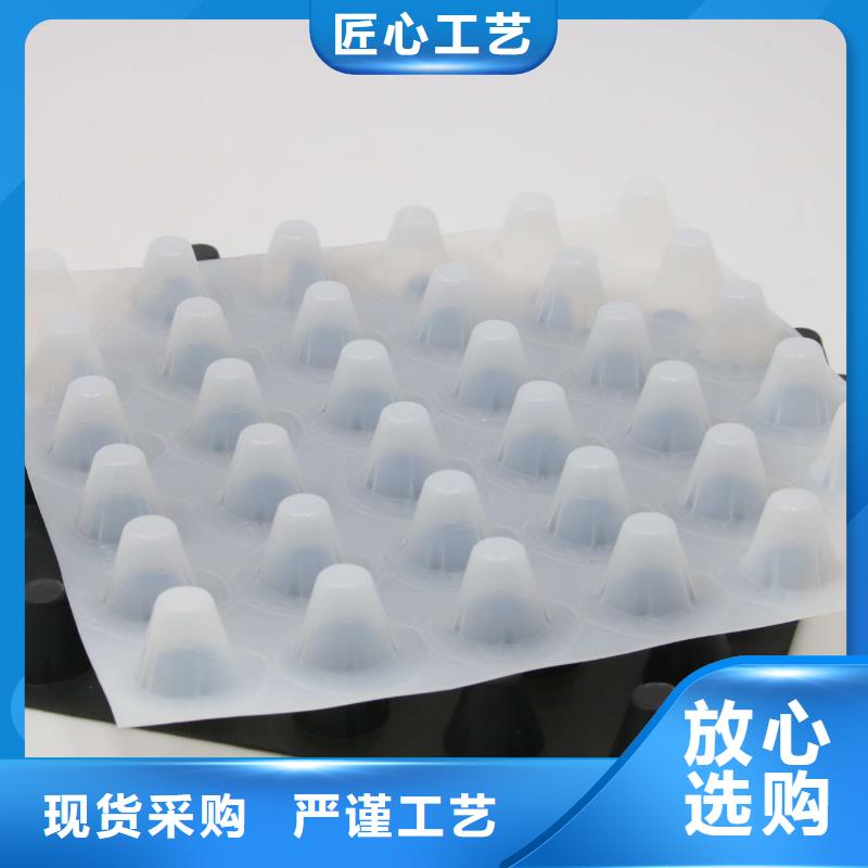 排水板毛細排水板品類齊全