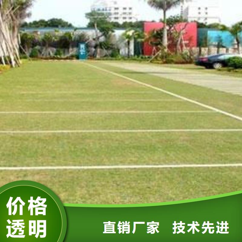植草格_塑料土工濾網款式多樣