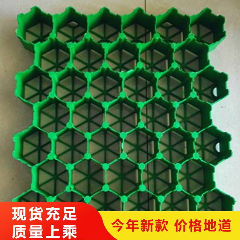植草格護坡土工網廠家直銷值得選擇