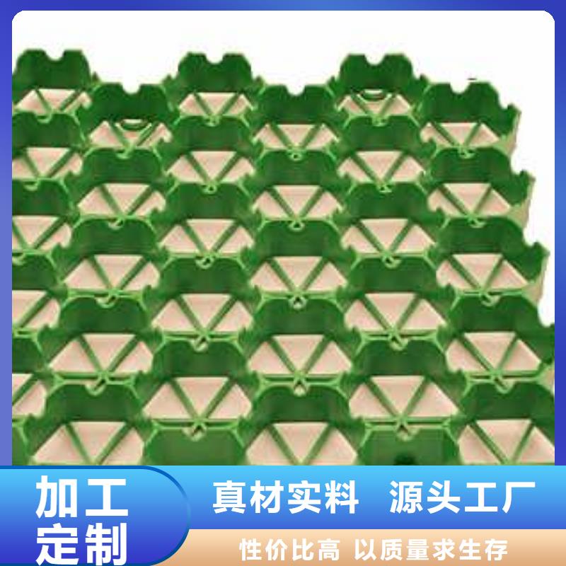 植草格【HDPE土工膜】款式新穎