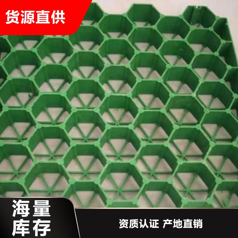 植草格_塑料土工濾網款式多樣