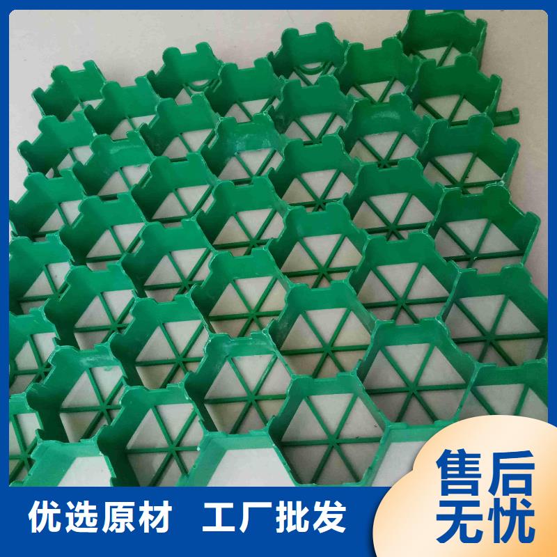 植草格聚乙烯土工膜廠家貨源