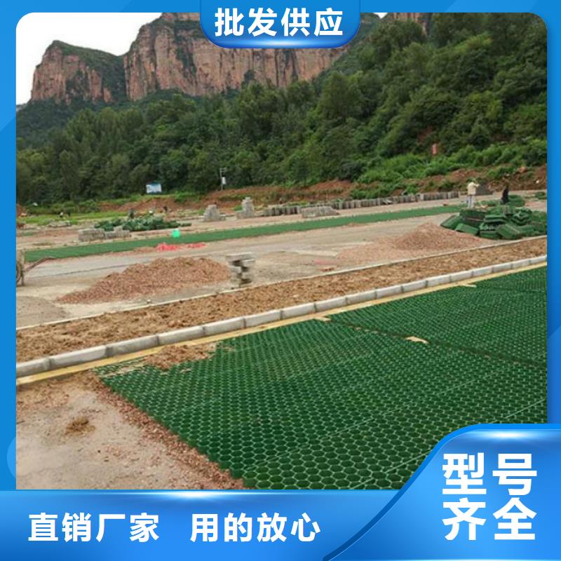 植草格【HDPE土工膜】款式新穎