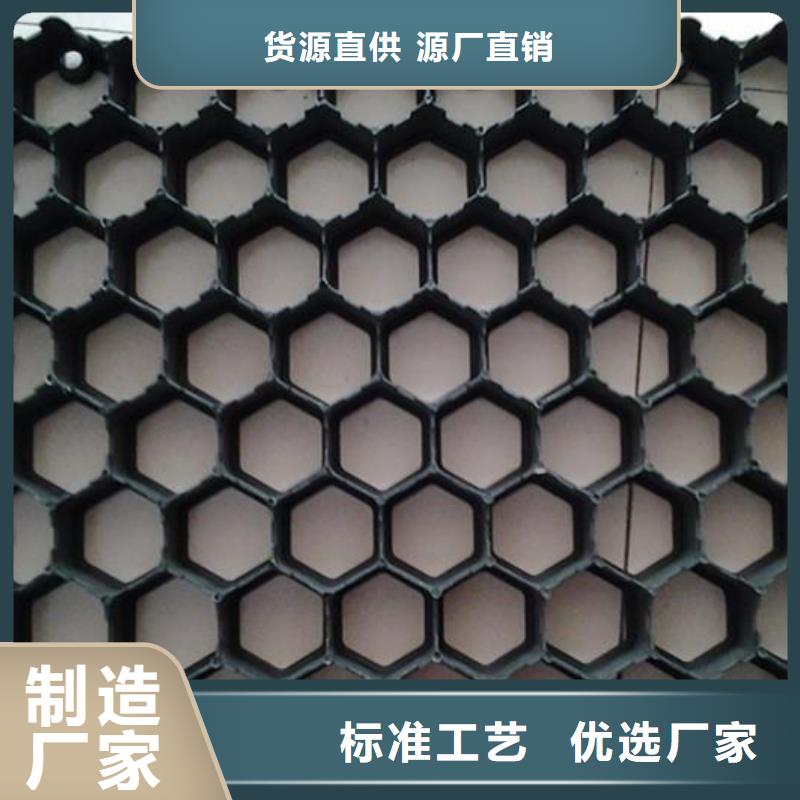 植草格_加筋布專業設計